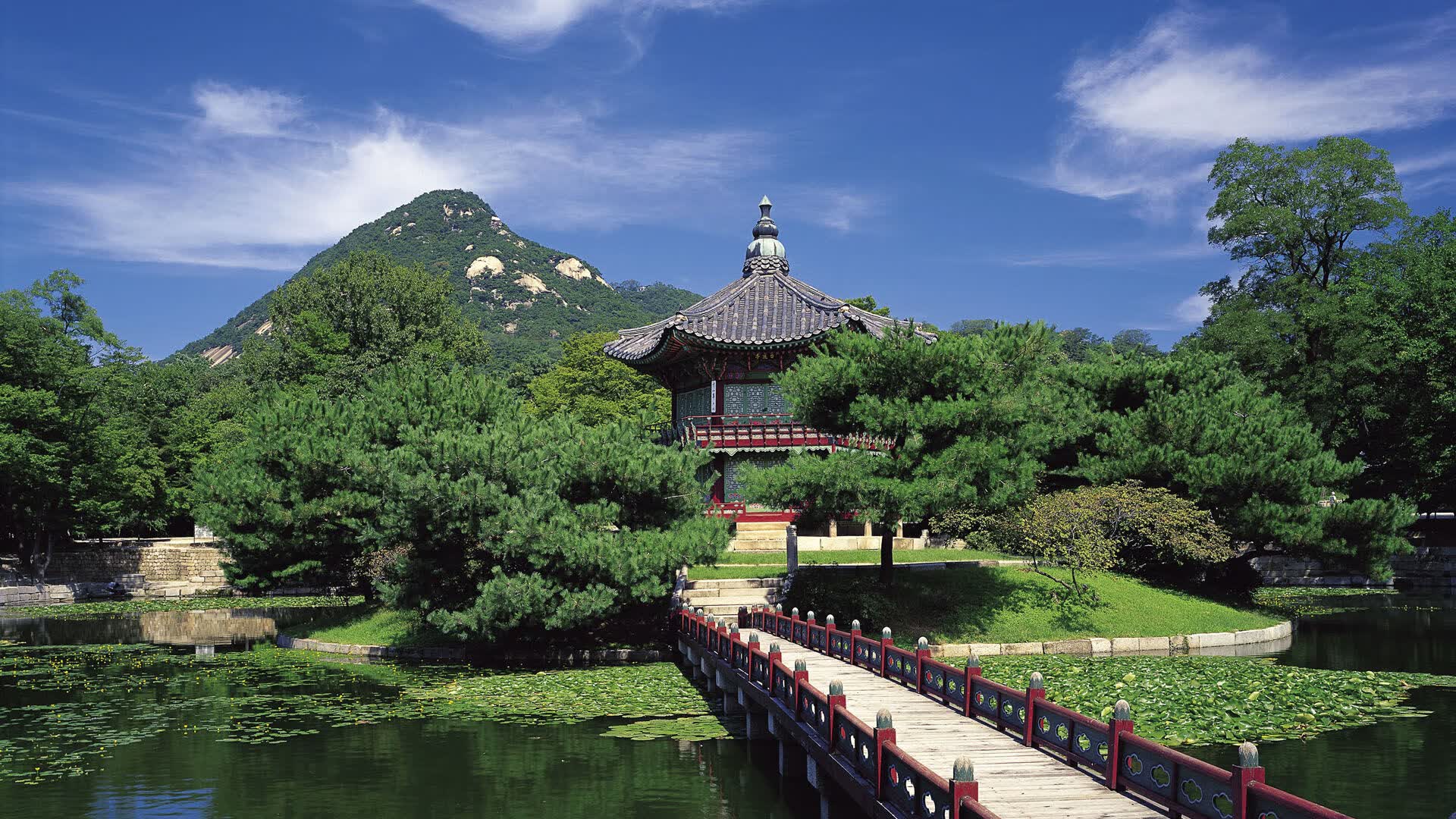 世界短道速滑青训教材出版:系统课程助力教练规范教学,世界短道速滑2021